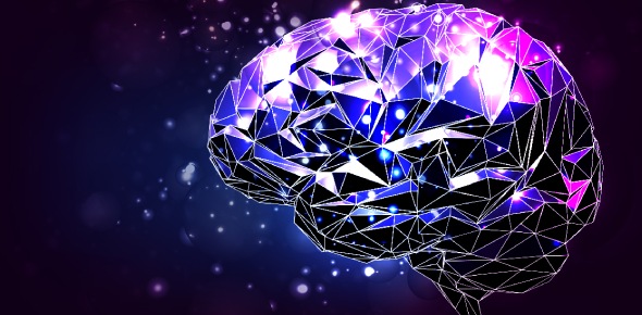 The Basic Neuroscience Trivia Quiz ProProfs Quiz